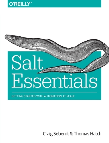 Salt Essentials (Paperback)