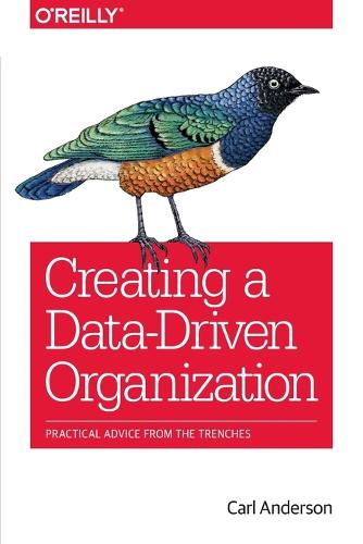 Creating a Data-Driven Organization (Paperback)