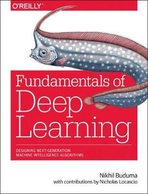 Fundamentals of Deep Learning (Paperback)