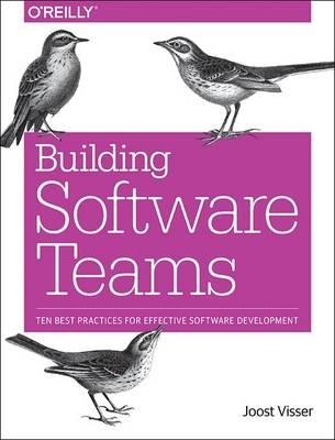 Building Software Teams (Paperback)