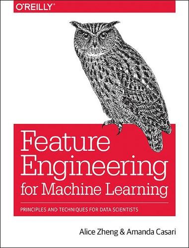 Feature Engineering for Machine Learning (Paperback)