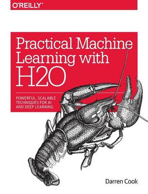 Practical Machine Learning with H2O: Powerful, Scalable Techniques for Deep Learning and AI (Paperback)