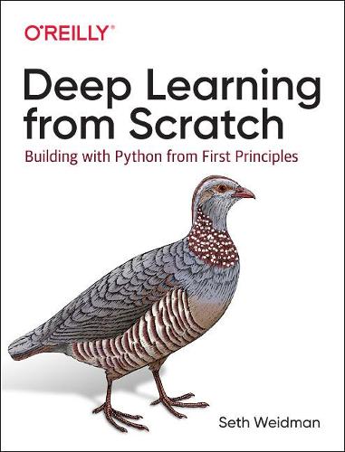 Deep Learning from Scratch: Building with Python from First Principles (Paperback)