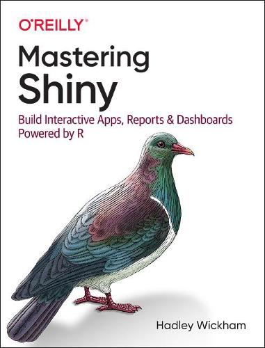 Mastering Shiny: Build Interactive Apps, Reports, and Dashboards Powered by R (Paperback)