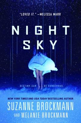 Night Sky (Paperback)