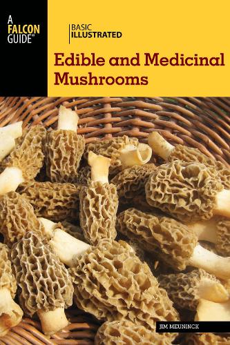 Basic Illustrated Edible and Medicinal Mushrooms - Basic Illustrated Series (Paperback)