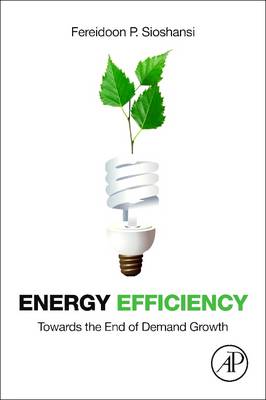 Energy Efficiency: Towards the End of Demand Growth (Paperback)