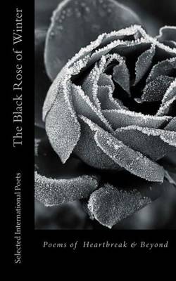 The Black Rose of Winter (Paperback)