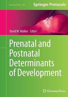 Prenatal and Postnatal Determinants of Development - Neuromethods 109 (Paperback)