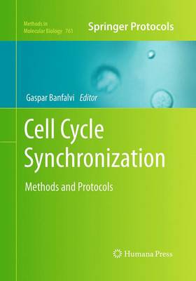 Cell Cycle Synchronization: Methods and Protocols - Methods in Molecular Biology 761 (Paperback)