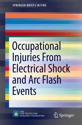 Occupational Injuries From Electrical Shock and Arc Flash Events - SpringerBriefs in Fire (Paperback)
