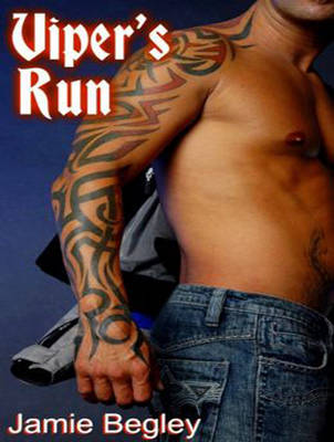 Viper's Run - Last Riders 2 (CD-Audio)