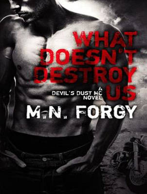What Doesn't Destroy Us - Devil's Dust 1 (CD-Audio)