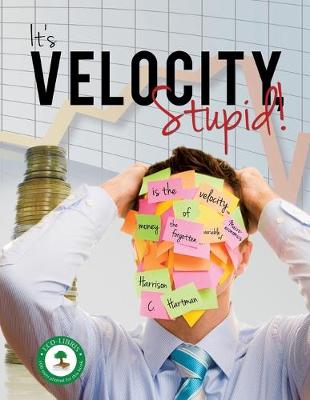 It's Velocity Stupid! (Paperback)