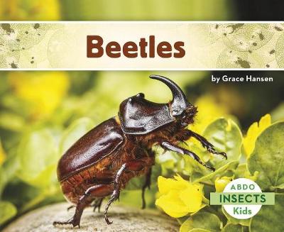 Beetles - Insects (Paperback)