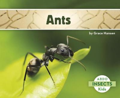 Ants - Insects (Paperback)