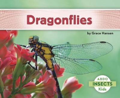 Dragonflies - Insects (Paperback)