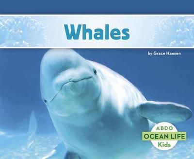Whales - Ocean Life (Paperback) (Paperback)