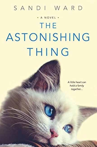 The Astonishing Thing (Paperback)
