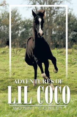 Adventures of Lil Coco (Paperback)
