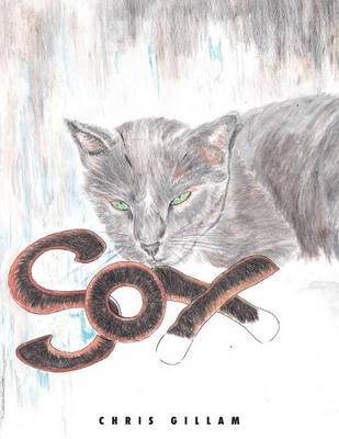 Sox (Paperback)
