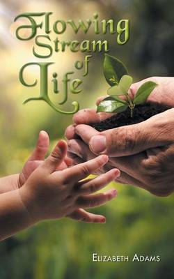 Flowing Stream of Life (Paperback)