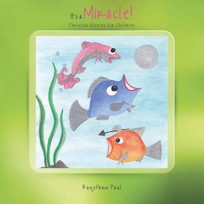 It's a Miracle!: Christian Stories for Children (Paperback)