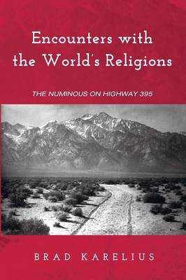 Encounters with the World's Religions (Paperback)