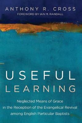 Useful Learning (Paperback)