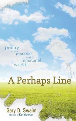 A Perhaps Line (Hardback)