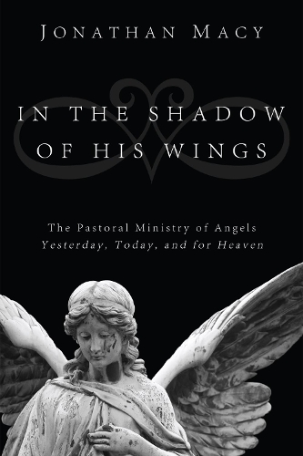 In the Shadow of His Wings (Hardback)
