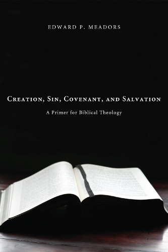 Creation, Sin, Covenant, and Salvation (Hardback)