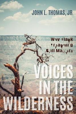 Voices in the Wilderness (Paperback)