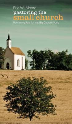Pastoring the Small Church (Hardback)