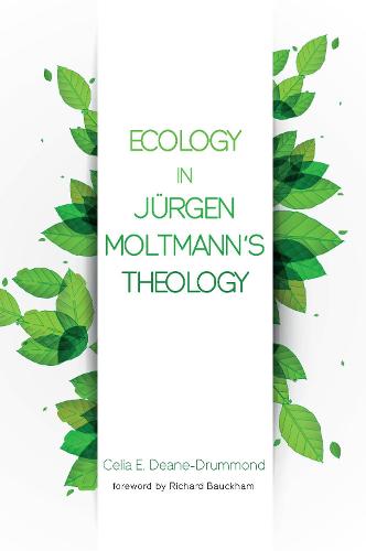 Ecology in Jurgen Moltmann's Theology (Paperback)