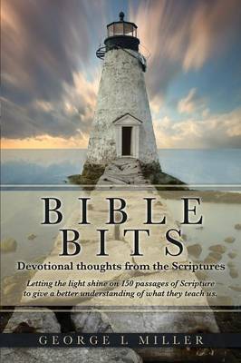 Bible Bits (Paperback)