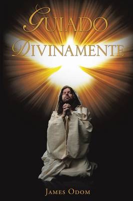Guiado Divinamente (Paperback)
