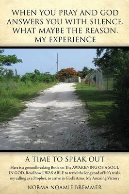 When You Pray and God Answers You with Silence.What May Be the Reason. My Experience (Paperback)