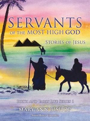 Servants of the Most High God Stories of Jesus: Public Ministry and Miracles Series 2 - Servants of the Most High God Stories of Jesus 2 (Paperback)