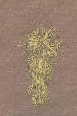 Marfa and Presidio County, Texas: A Social, Economic, and Cultural Study 1937 to 2008 Volume Two, 1990-2008 (Paperback)