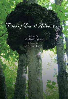 Tales of Small Adventure (Hardback)
