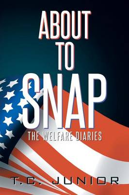 About to Snap: The Wel-Fair Diaries (Paperback)