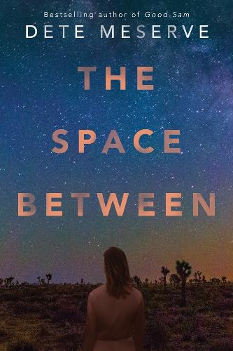 The Space Between (Paperback)