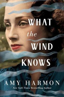 Book cover of What the Wind Knows