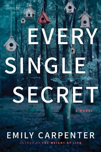 Every Single Secret: A Novel (Paperback)