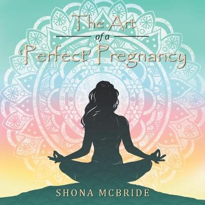 The Art of a 'perfect' Pregnancy (Paperback)