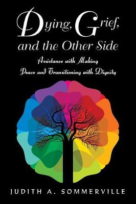 Dying, Grief, and the Other Side: Assistance with Making Peace and Transitioning with Dignity (Paperback)