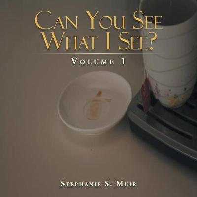 Can You See What I See?: Volume 1 (Paperback)