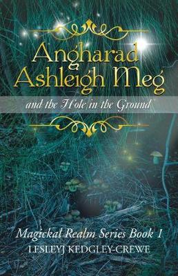 Angharad Ashleigh Meg and the Hole in the Ground: Magickal Realm Series Book 1 (Paperback)