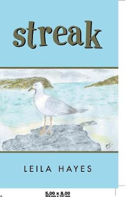 Streak (Paperback)